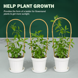 Avilo Bamboo Plant Support Arches Set of 3 – Garden Supports for Growing Plants