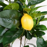 Premium Artificial Lemon Tree, 150cm with Realistic Foliage and Weighted Pot – Faux Plant for Home Display