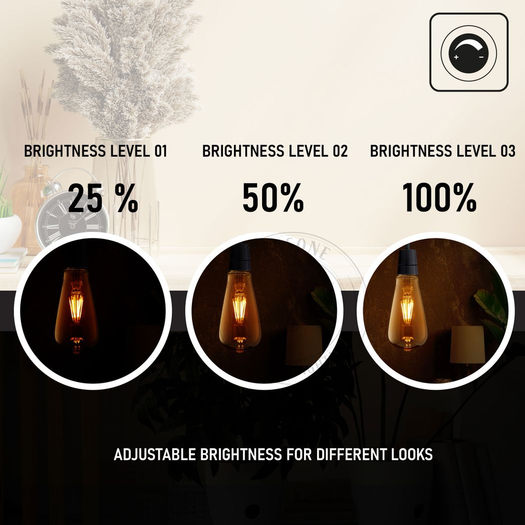 Ledsone 10 Pack ST64 Vintage Edison LED Bulbs, 6W E27 – Dimmable Amber Glass, Warm White 2700K
