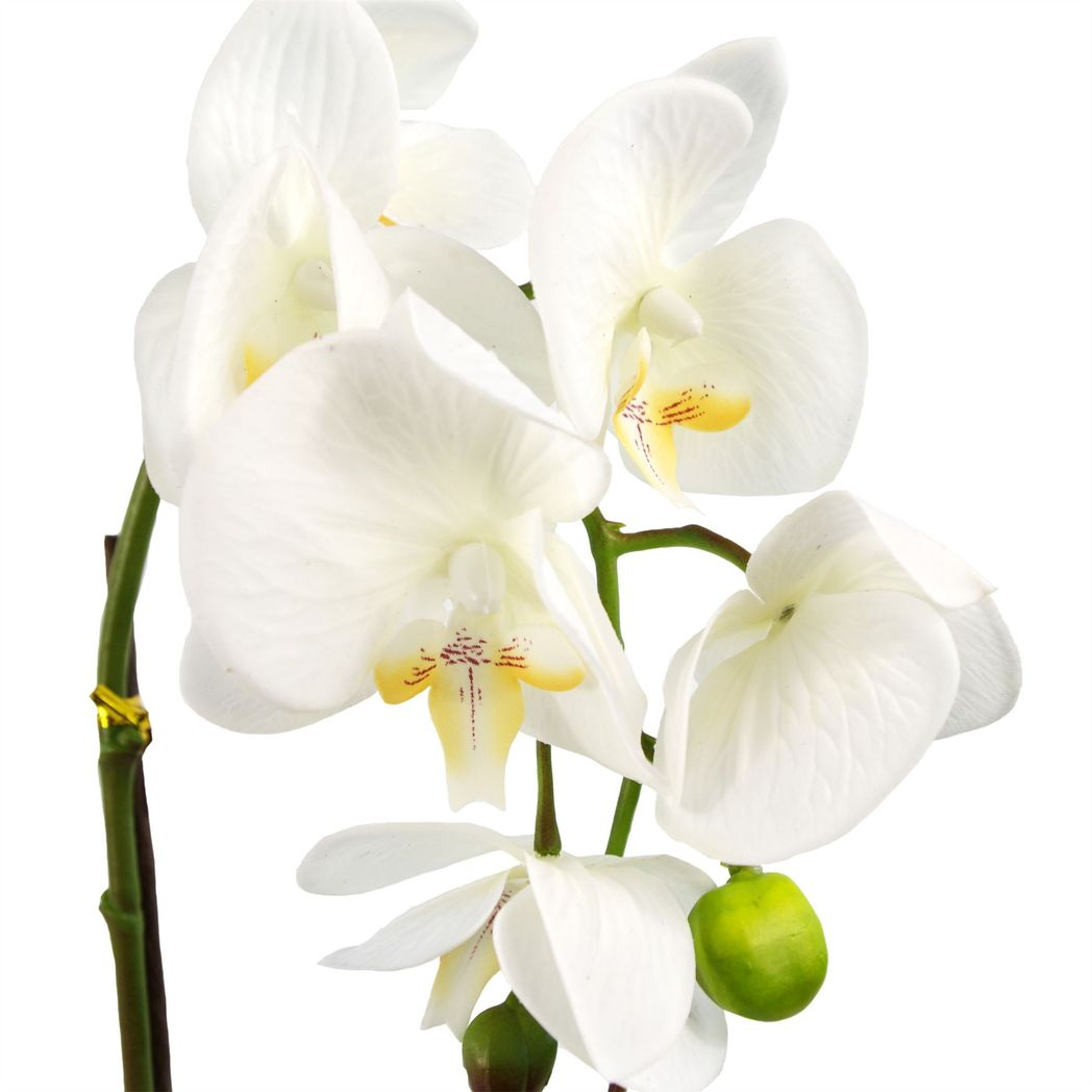 Leaf Artificial Orchid with Real Touch Flowers & Silver Pot – 46cm Realistic Faux Plant, White