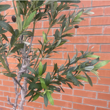 200cm XXL Artificial Olive Tree with Decorative Planter