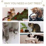 Pawhut Multi-level Cat Tree with Plush Perches, Condo and Jute Scratching Posts – Kitten Tower with Dangling Rope