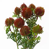 Leaf Craspedia Artificial Flower Stem with Plastic Flowers and Wired Stem – 55cm Home Decor, Red