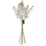 Leaf Artificial Phalaenopsis Orchid Stem with 7 Flowers & Wired Shapable Stem – Home Decor, White, 100cm