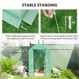 Outsunny Walk-In Greenhouse with 4 Shelves, UV-Resistant PE Cover & Zipped Door, 120 x 186 x 190cm, Green