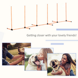 Pawhut Dog Agility Weave Poles Training Set with Whistle & Carry Bag – Slalom Obstacle Course Equipment