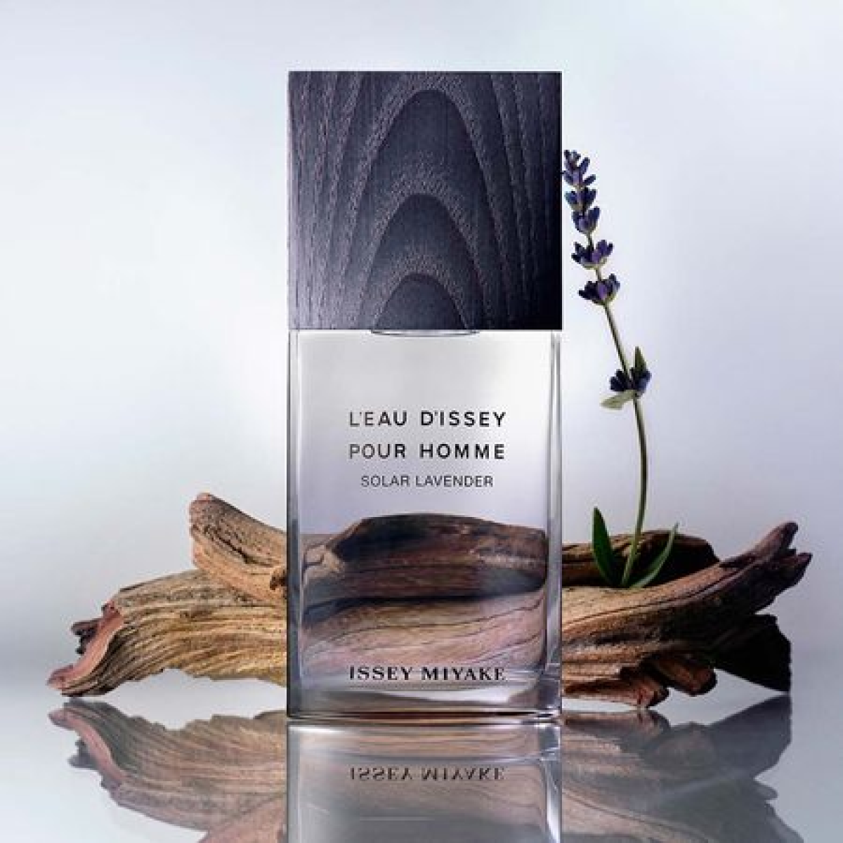 Issey Miyake Solar Lavender Eau de Toilette Spray 50ml – Aromatic, Fresh & Citrus Fragrance, Unisex