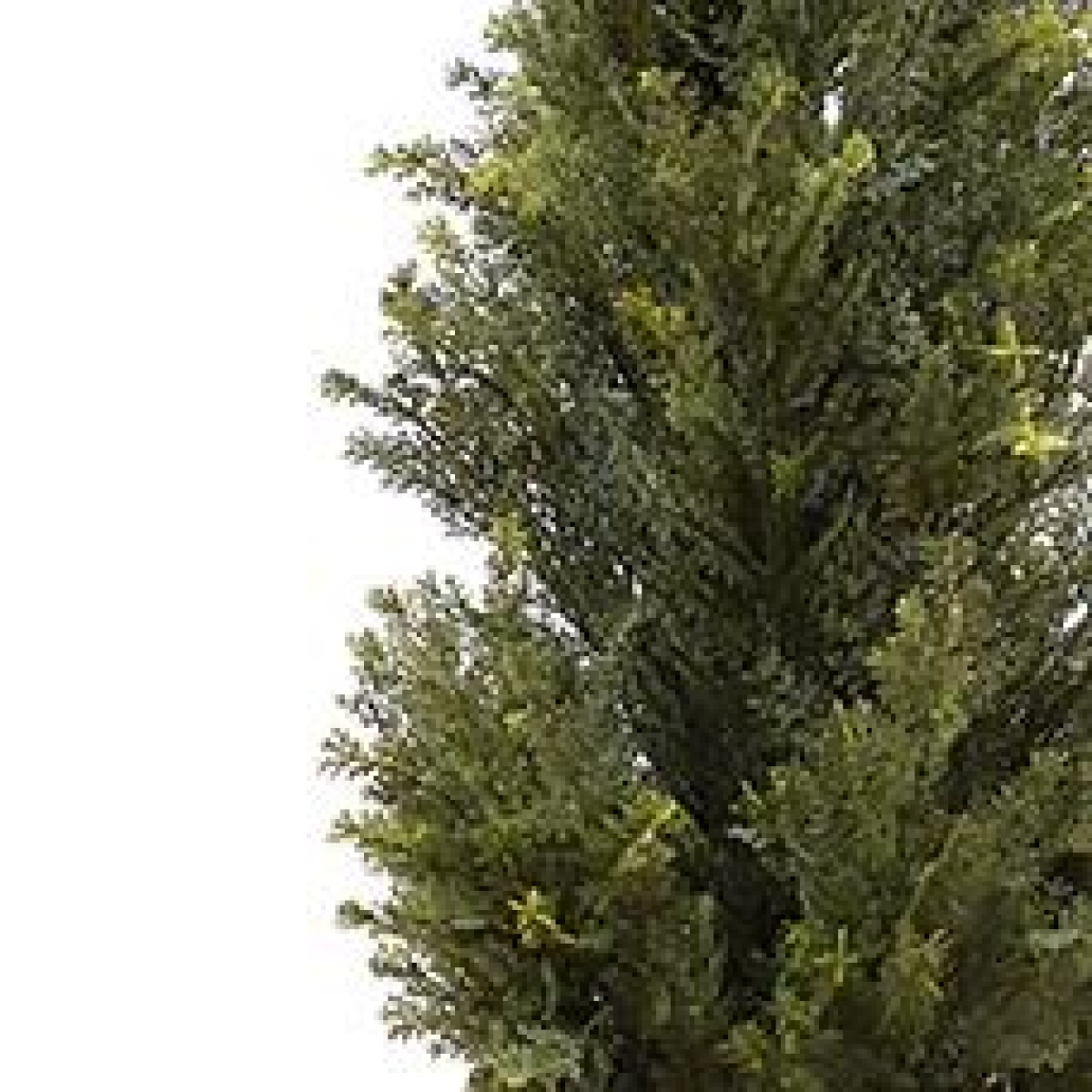 Artificial Natural Look Cedar Topiary Tree, 120cm – Wired Stems, Two-Part Easy Assembly