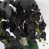60cm Artificial Black Orchid – Gold Ceramic Planter