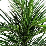 Artificial Areca Palm Tree, 130cm with Silk Leaves & Natural Palm Fronds – Weighted Pot, Wired Branches