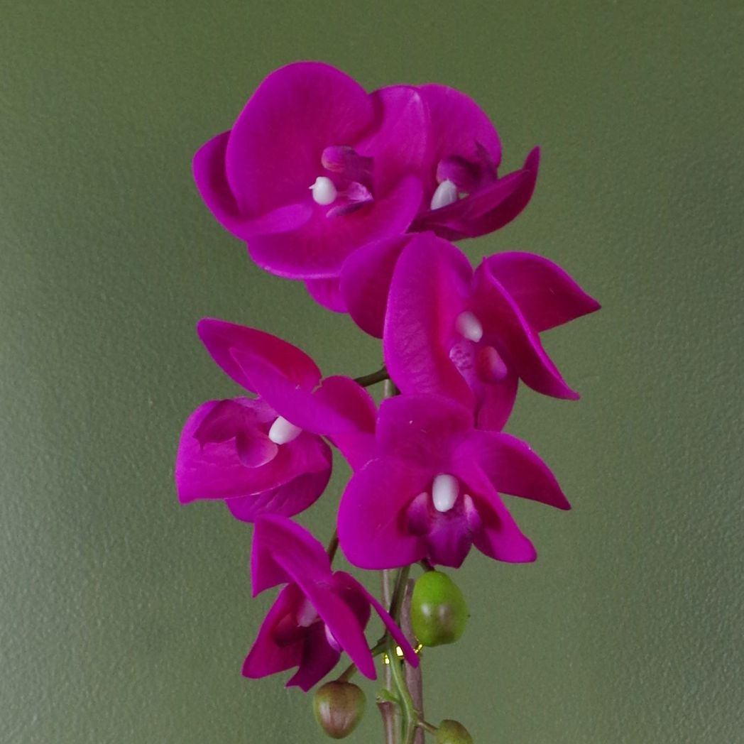 Artificial Orchid, 46cm with 6 Realistic Flowers & Real Touch Leaves – Decorative Gold Pot, Dark Pink