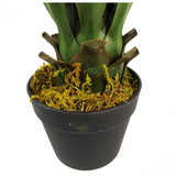 Leaf 55cm Artificial Yucca Plant in Plastic Pot