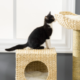 PAWHUT Cat Tree with House, Bed, Ladder and Scratching Posts – Plush Kitten Tower, 100.5cm