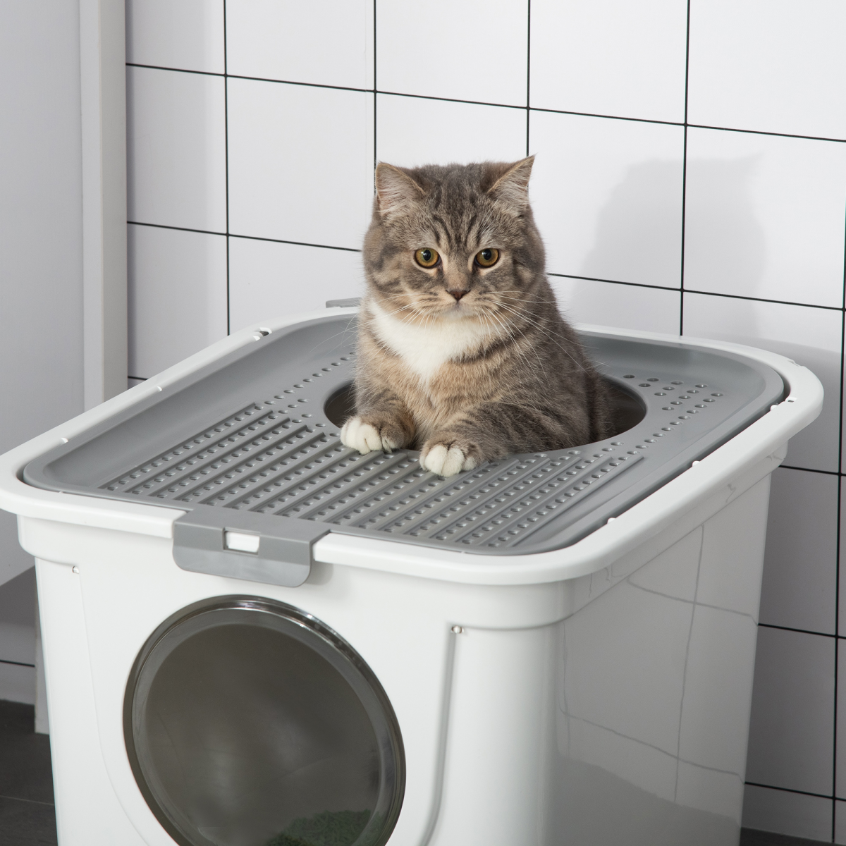 Pawhut Cat Litter Box with Front Entrance, Top Exit & Scoop – Enclosed Pull-Out Tray Toilet, White
