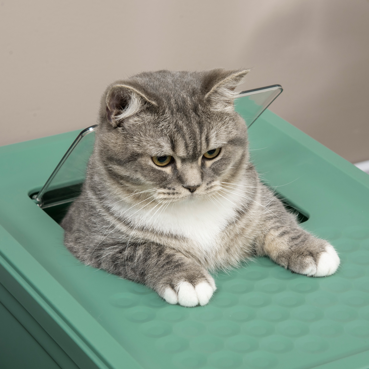 PawHut Hooded Cat Litter Box with Scoop & Removable Tray – Portable Enclosed Pet Toilet, Green