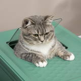 PawHut Hooded Cat Litter Box with Scoop & Removable Tray – Portable Enclosed Pet Toilet, Green