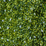 Outsunny 12 Piece Artificial Milan Grass Boxwood Wall Panels, 50 x 50cm – Weather Resistant Fence Screen, 3m²