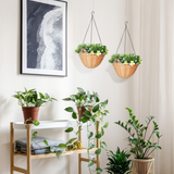 Artificial Hanging Baskets Set of 2 with Lifelike Plants & Pinecones – Maintenance-Free Decor, Blue & Green