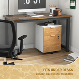 HOMCOM 2 Drawer Lockable Filing Cabinet with Adjustable Bar for A4 & Letter Files – Mobile Under-Desk Storage