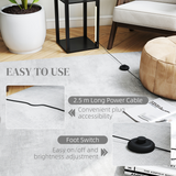 HOMCOM Standing Floor Lamp with Foot Switch – Black