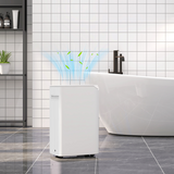 HOMCOM 20L/Day Compact Dehumidifier with 24H Timer – Space-Saving Damp Control for Home & Laundry