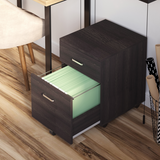 Vinsetto 2-Drawer Locking Mobile Filing Cabinet on 5 Wheels – Under-Desk Home Office Storage, Brown