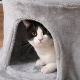 Pawhut Multi-level Cat Tree with Plush Perches, Condo and Jute Scratching Posts – Kitten Tower with Dangling Rope