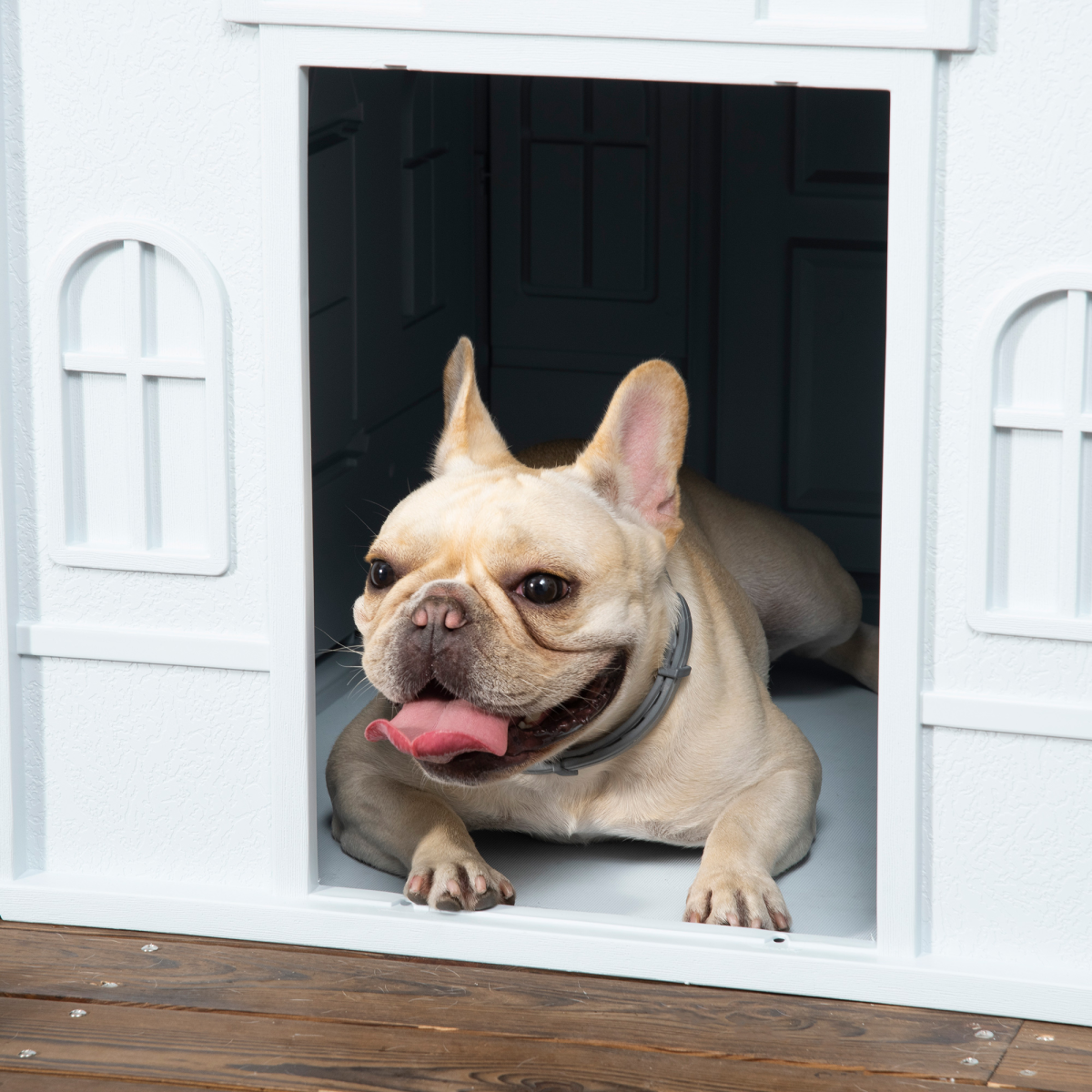 PawHut Weather-Resistant Plastic Dog House with Cottage Windows – Ventilated Shelter for Medium Dogs, Blue