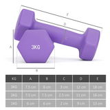 Dumbbell Set with Storage Rack, 12kg Total (2 x 1kg, 2 x 2kg, 2 x 3kg) – Home Gym Hand Weights, Pink, Blue & Purple