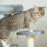 Pawhut Cat Tree with 2 Perches, Sisal Scratching Posts & Hanging Rope – Kitty Activity Play Centre