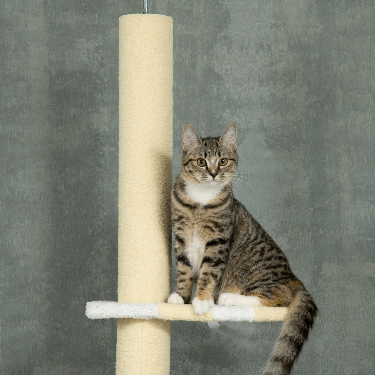 260cm Adjustable Floor-to-Ceiling Cat Tree with Jute Scratching Post and Plush Perches – Tall Cat Tower, Yellow