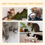 Pawhut 5-Tier Floor to Ceiling Cat Tree with Scratching Post – Activity Tower, Adjustable 230–260cm