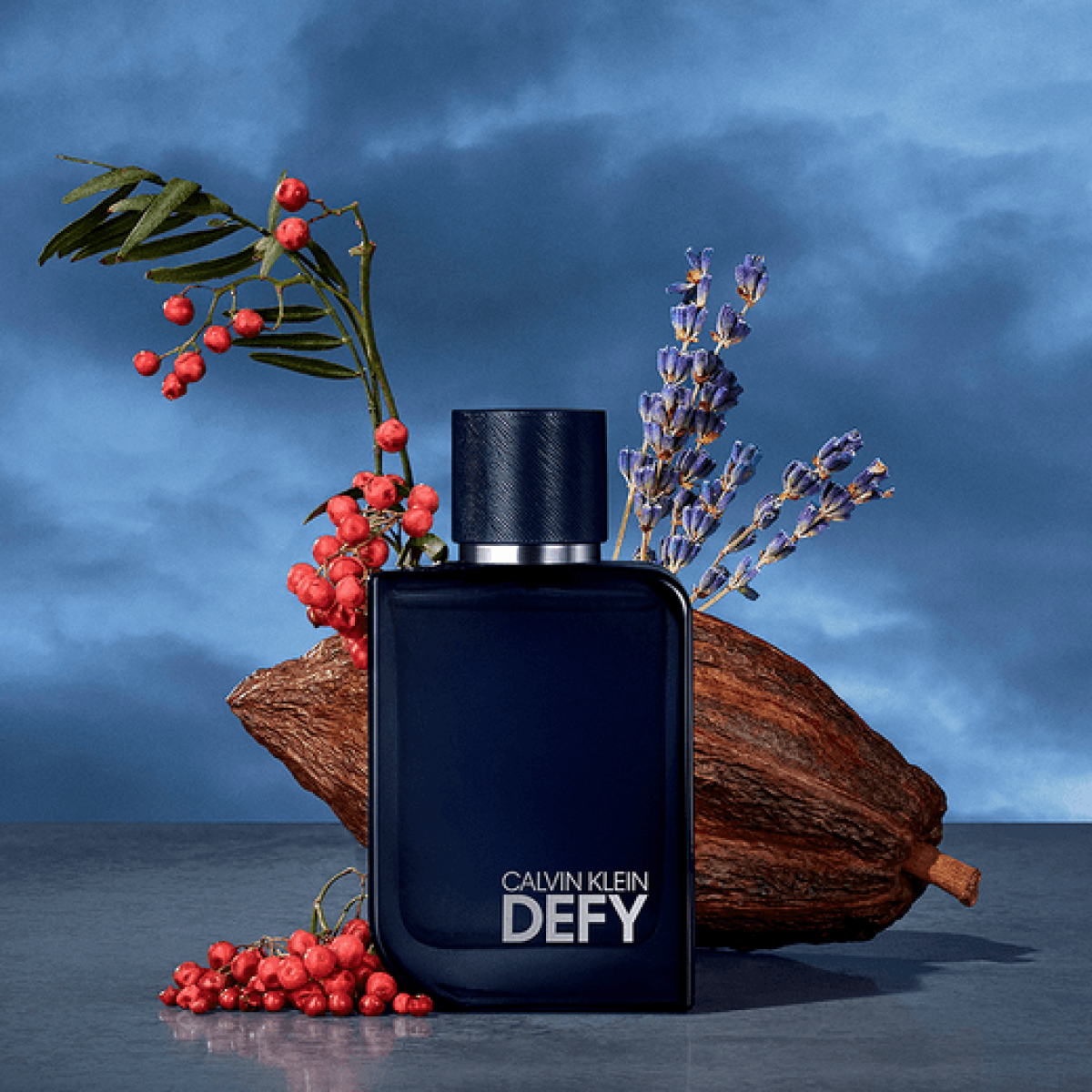 Calvin Klein Defy Eau de Parfum Spray 100ml – Woody, Fresh & Citrus Fragrance for Men