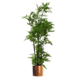 Polished Copper Metal Planter, 20 x 18cm