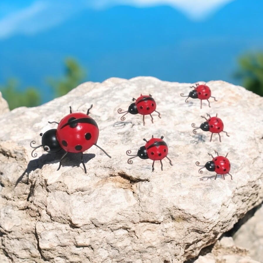 AcaciaHome Metal Ladybird Garden Wall Art – Set of 6, Weatherproof