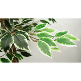 Leaf 150cm Artificial Silk Ficus Tree with 1008 Leaves – Weighted Black Pot, Low-Maintenance Plant