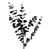 Leaf Design UK Pack of 6 Artificial Black Eucalyptus Foliage Stems – 80cm Silk Leaves, Shapable Wired Stem