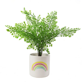 12cm Rainbow Ceramic Planter