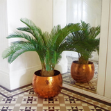 80cm Artificial Cycas Palm Plant – Tropical Tree for Home Decor, Green & Brown