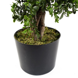 Botanik Artificial Spiral Buxus Tree, 120cm – UV Resistant Outdoor Topiary with Fixed Branches
