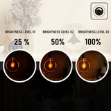 2 Pack E27 LED Edison Dimmable Filament Bulbs, 8W 800lm 2700K – Vintage Amber Glass, Warm White