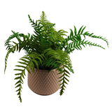 Dusty Pink Peach Raised Dots Ceramic Plant Pot, 15 x 15 x 12.5cm – Decorative Indoor Planter