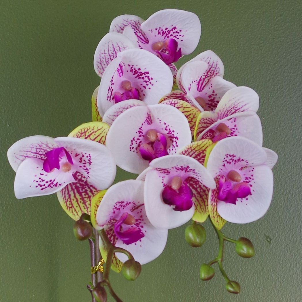 Leaf Artificial Harlequin Orchid with Real Touch Flowers in Gold Pot – Faux Plant Decor, Pink, 48cm
