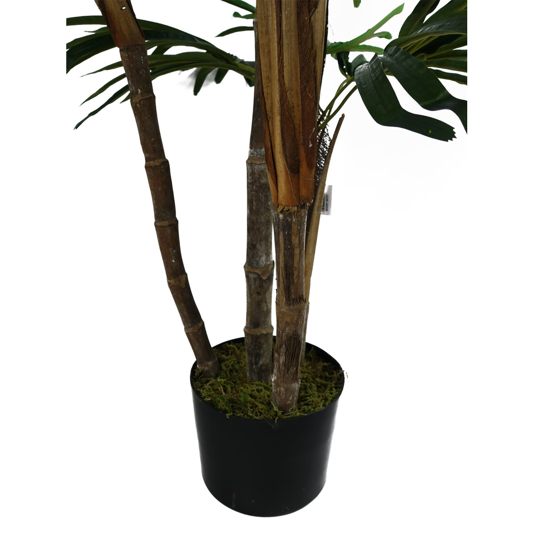 Artificial Raphis Palm Tree, 100cm with Natural Trunk – Realistic Silk Leaves in Weighted Pot