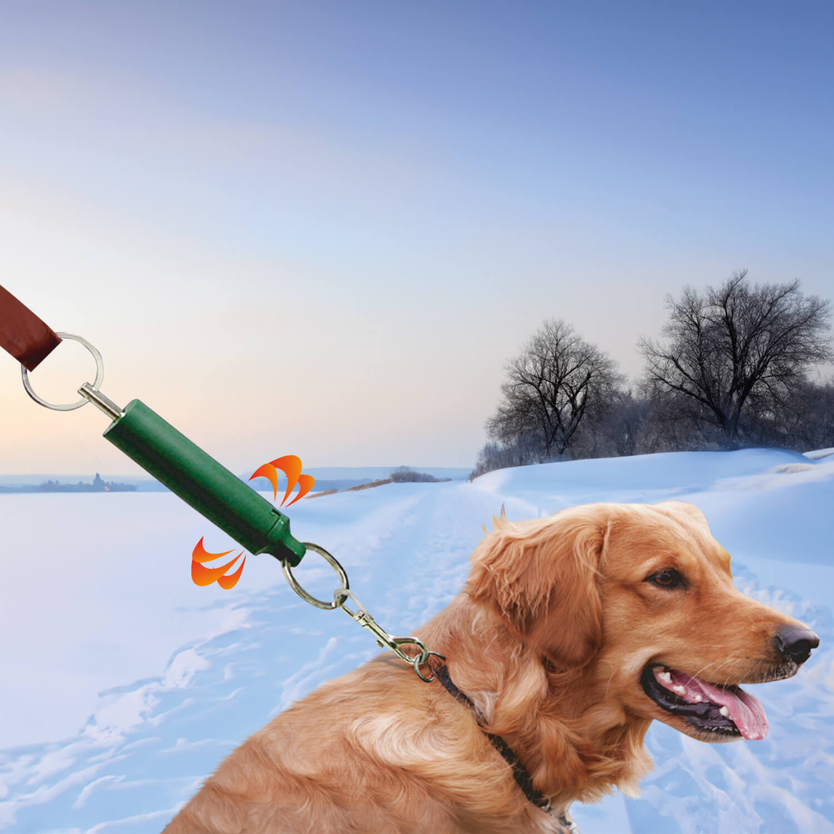 Avilo Tweeter Dog Training Aid with Adjustable Tweet – Stop Pulling on the Lead