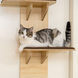 PawHut 4-Level Door Mounted Cat Tree with Plush Pads & Toy Ball – Space-Saving Cat Climbing Shelves, Oak