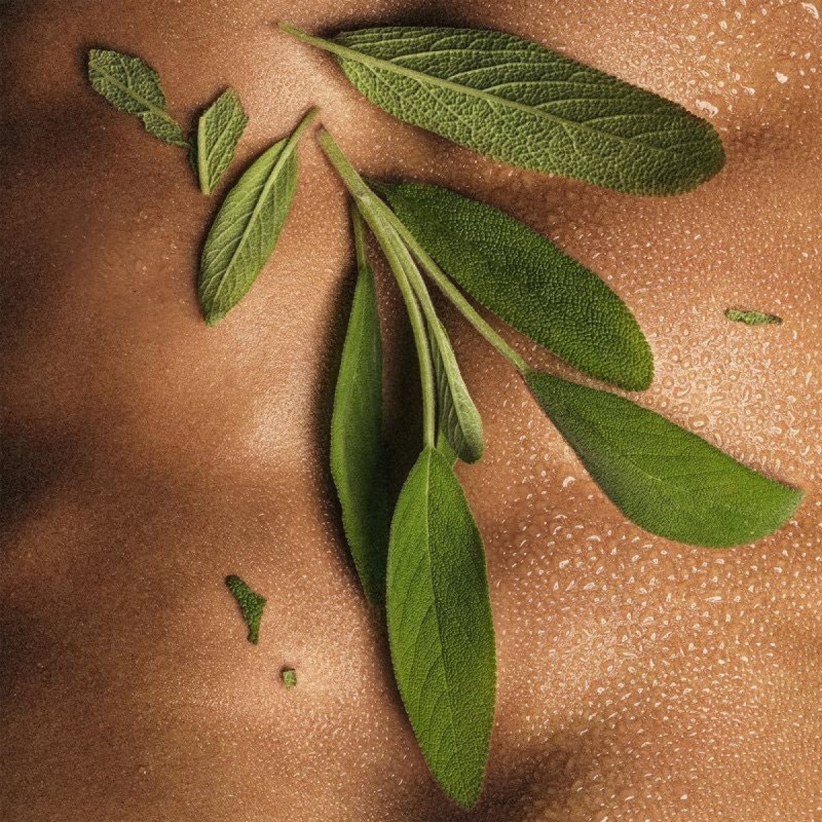 Diesel Only the Brave Eau de Parfum Spray 50ml – Fresh & Citrus, Spicy Fragrance for Men