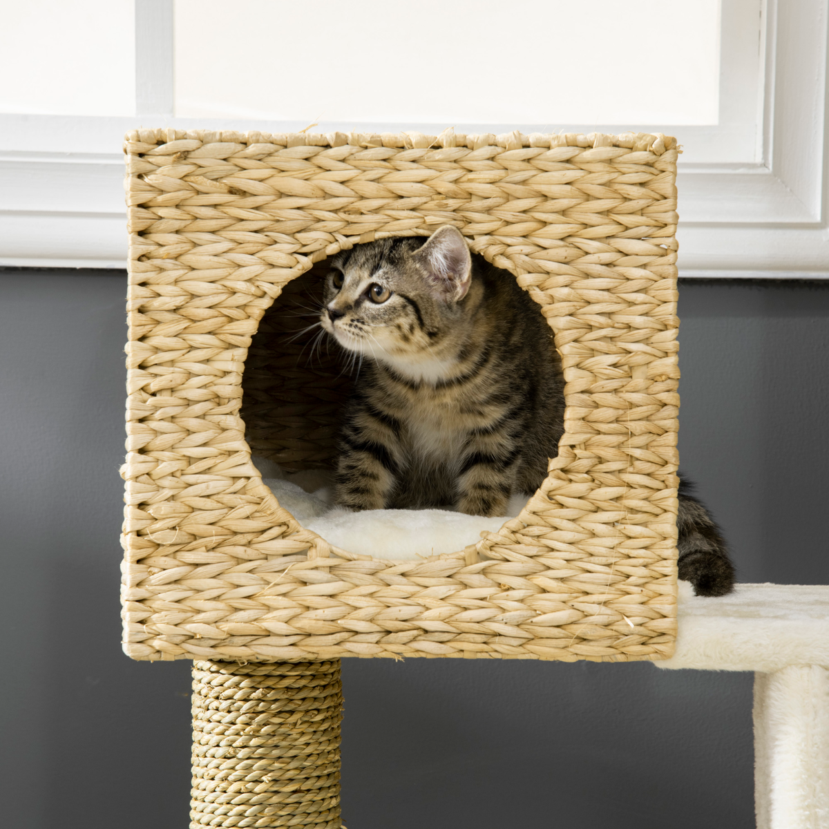 PAWHUT Cat Tree with House, Bed, Ladder and Scratching Posts – Plush Kitten Tower, 100.5cm