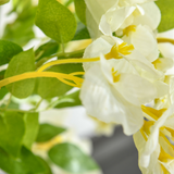 HOMCOM Artificial Realistic White Wisteria Tree Faux Decorative Plant, 160cm