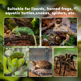 PawHut Glass Reptile Terrarium with Locks & Mesh Top – Habitat for Lizards, Frogs, Snakes, 30 x 30 x 20cm